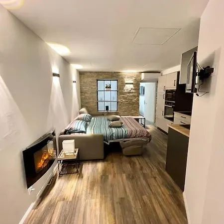 Cote Palais Clim Fibre Apartment Carcassonne
